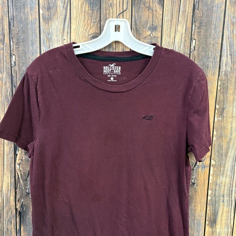 Maroon Hollister