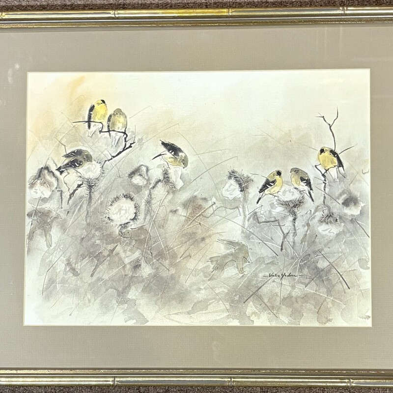 Yoder PerchedBirds InWild