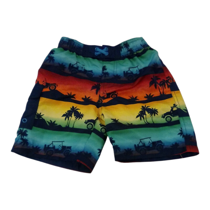 Swim Shorts: Palm Trees