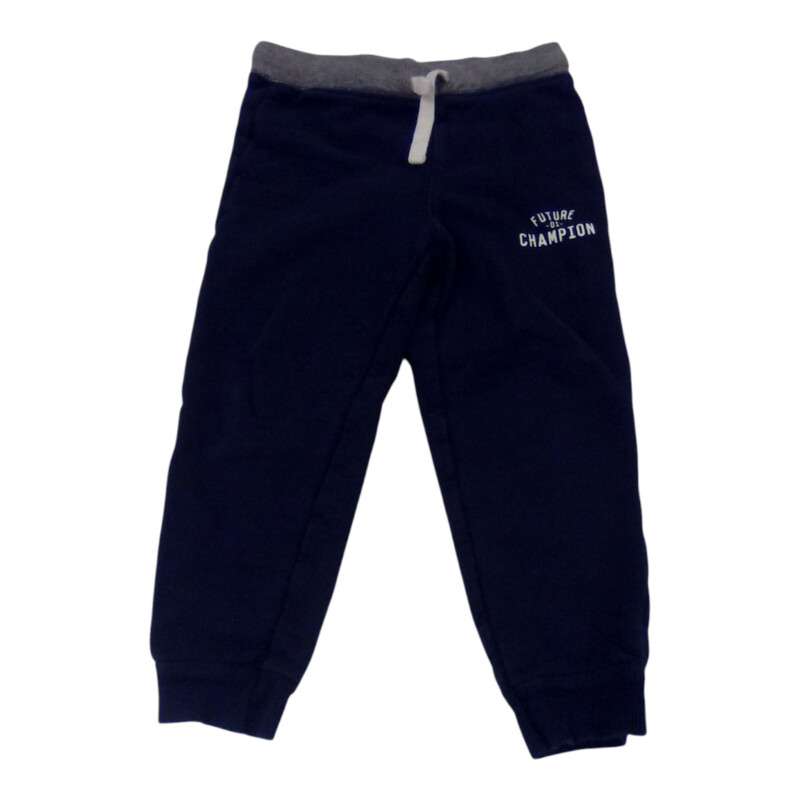 Pants: Blue Jogger