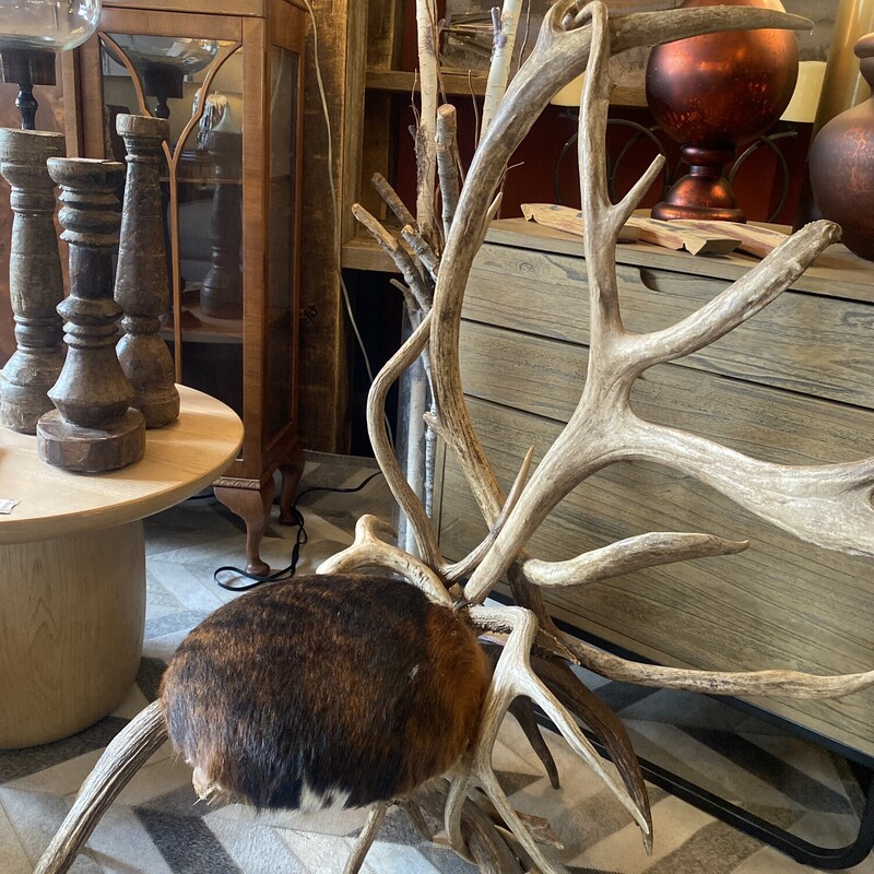 Antler Chair
