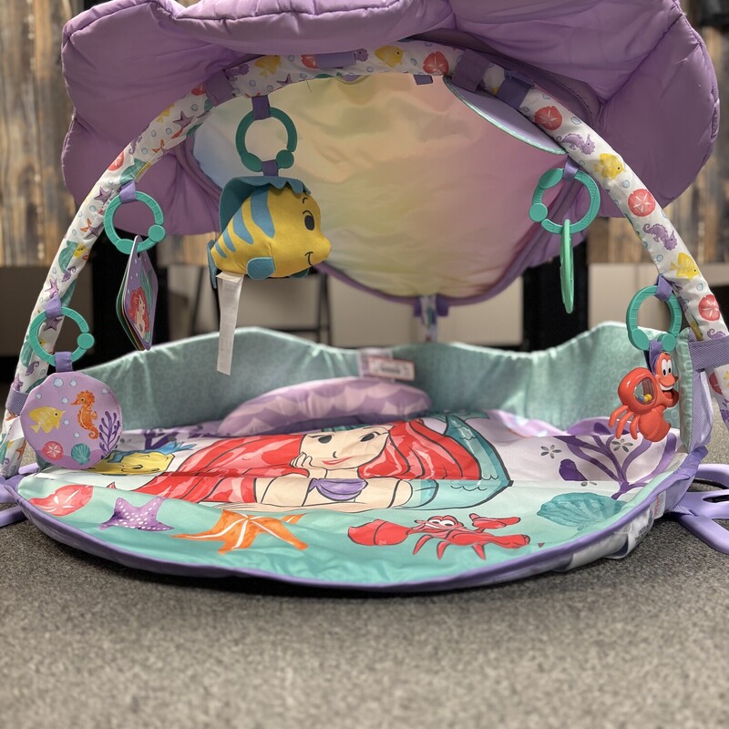 Little Mermaid Activity Gym
** Retails for $70 - Great Shape - Includes Baby Pillow **