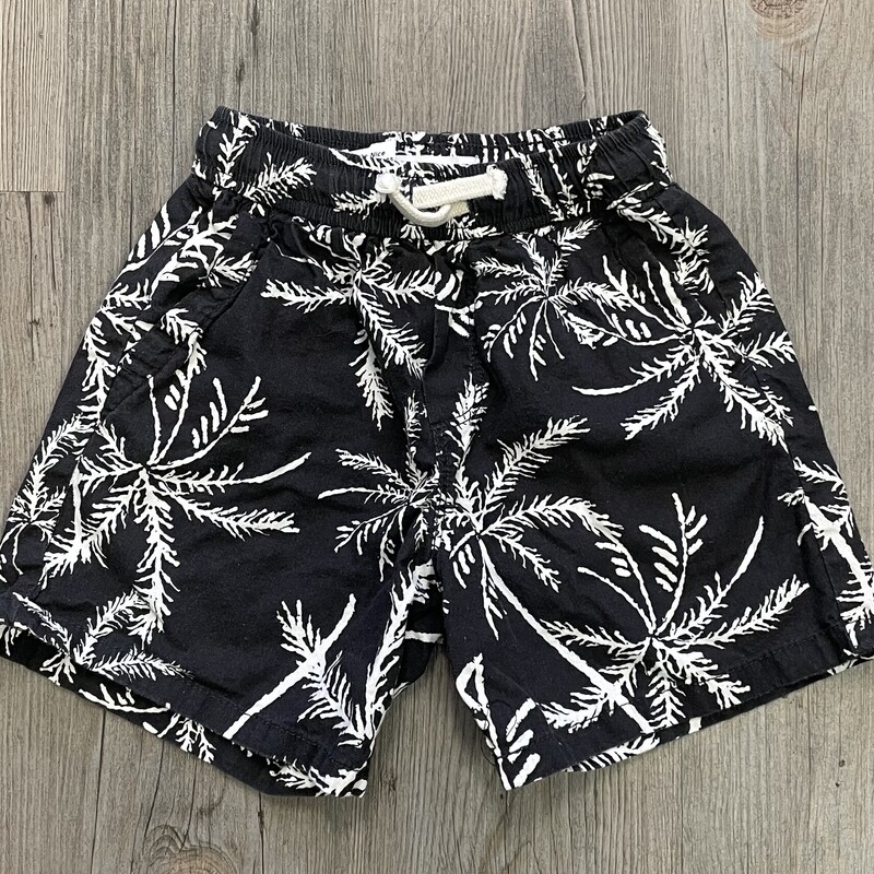 Zara Shorts