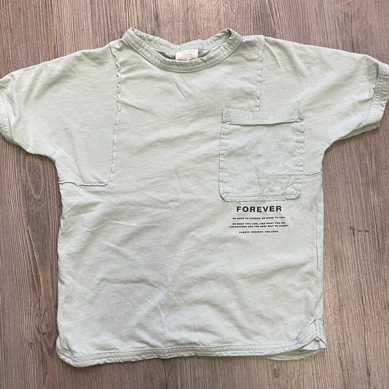 Zara Boys Tee
