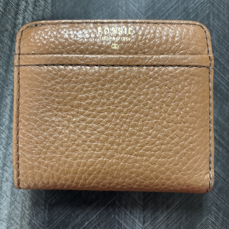 Little Fossil Wallet, Size: 3.5 X 4 In