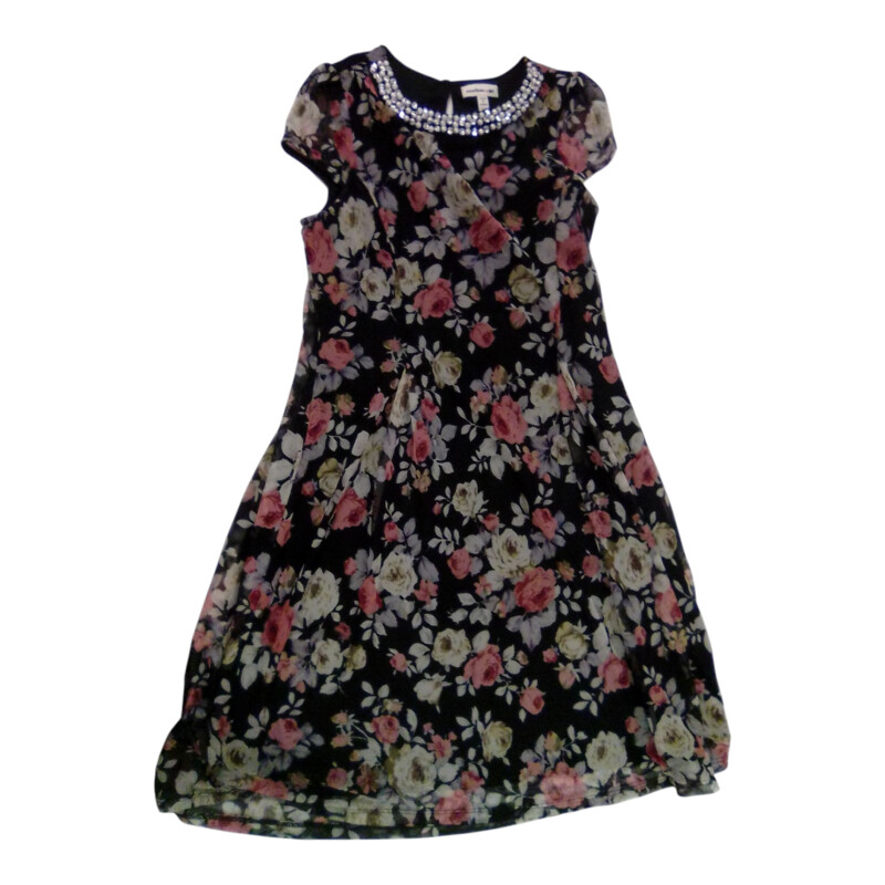 Dress: Black Mesh Roses