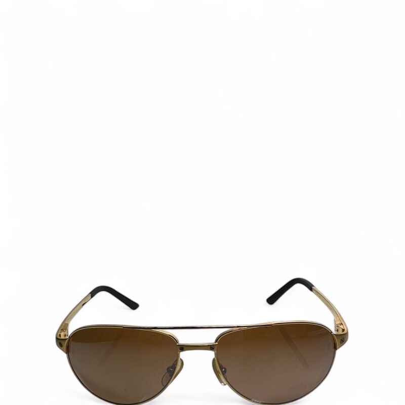 Cartier Dumont Santos