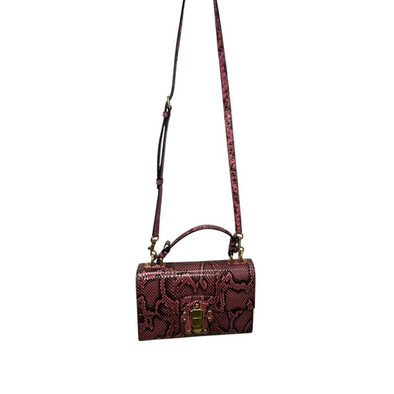 Dolce & Gabbana Lucia, Python Top Handle Bag<br />
<br />
Dimensions:6.5 H x 9.5 W  inches<br />
<br />
In very good condition. Some scratching of the hardware.<br />
<br />
Does not come with original dust bag or box.