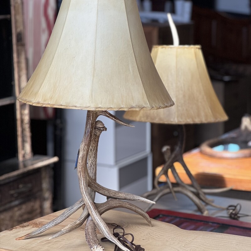Antler Lamp