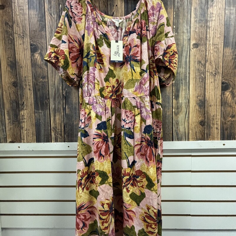 NWT Pink Floral Dress, Size: 2X