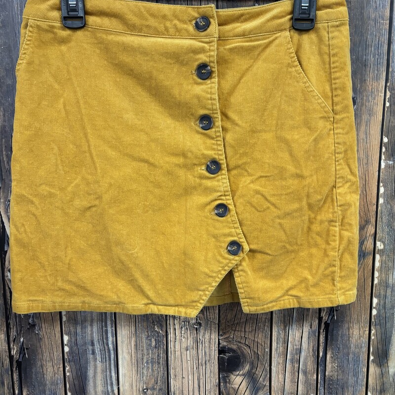 NWT Corduroy Skirt, Size: L