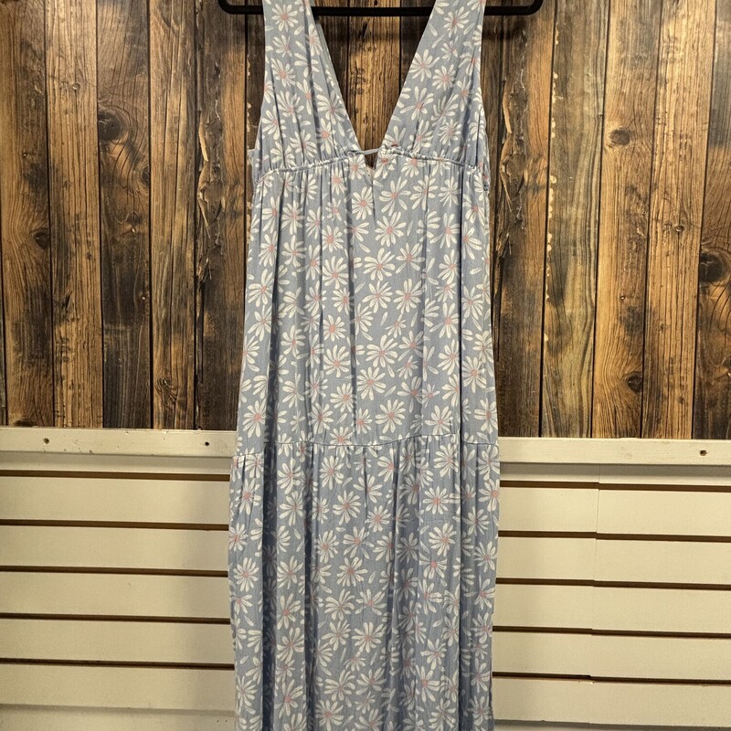 NWT Blue Daisy Dress, Size: L