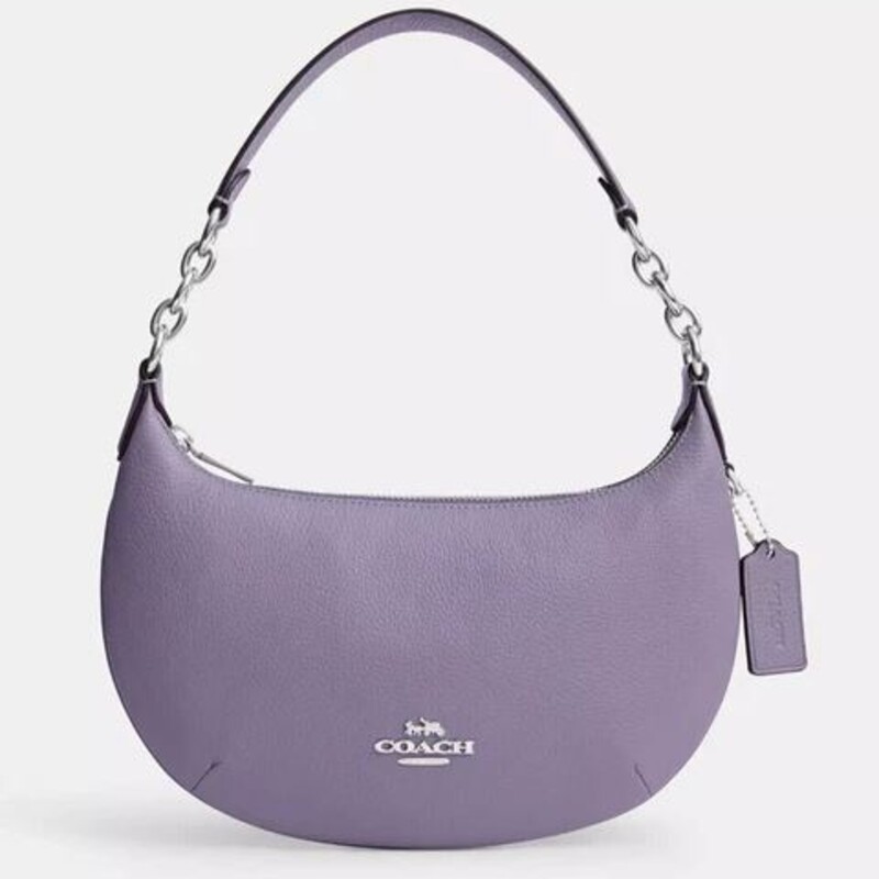 Coach Payton Hobo Handbag