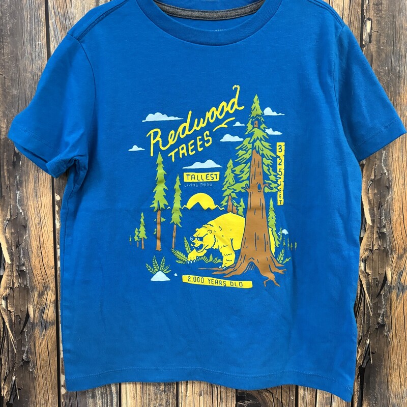 Blue Redwood Trees Tee, Size: 6/7