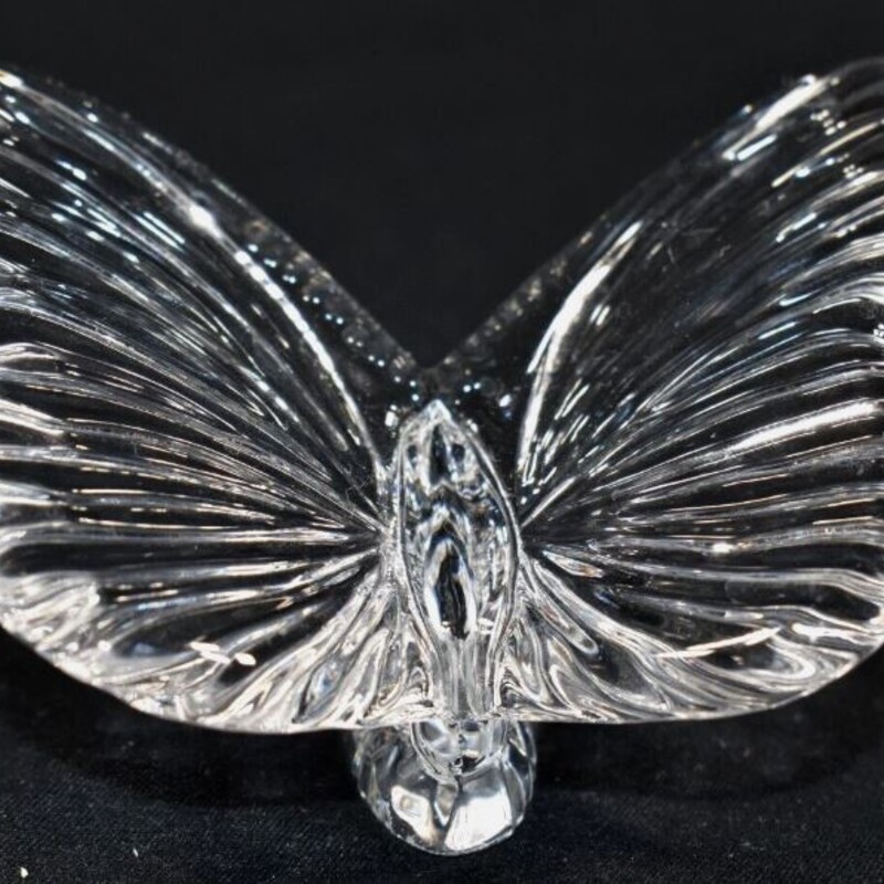 Waterford Butterfly