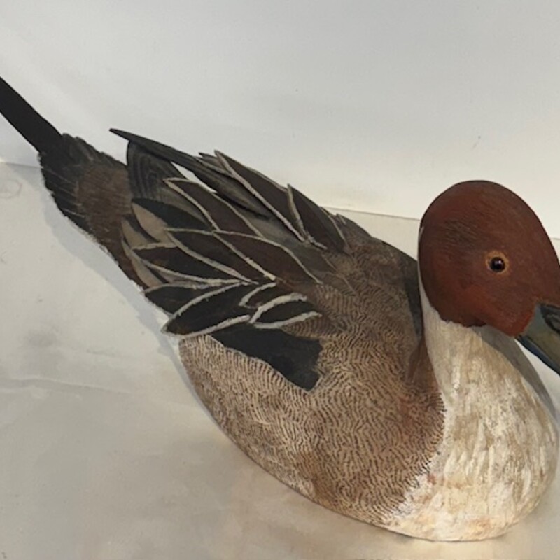 Realistic Drake Duck