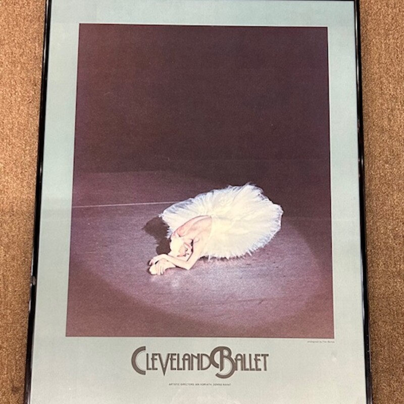 Cleveland Ballet Print
Blue Gray Black Size: 20 x 26.5H