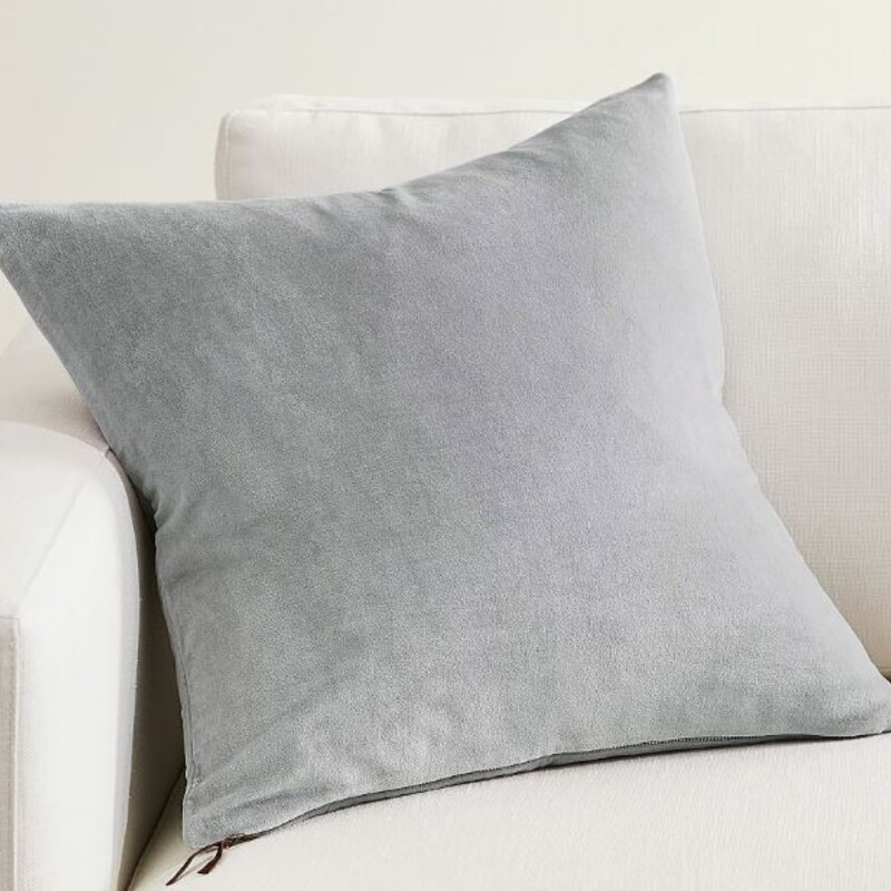 Pottery Barn Velvet