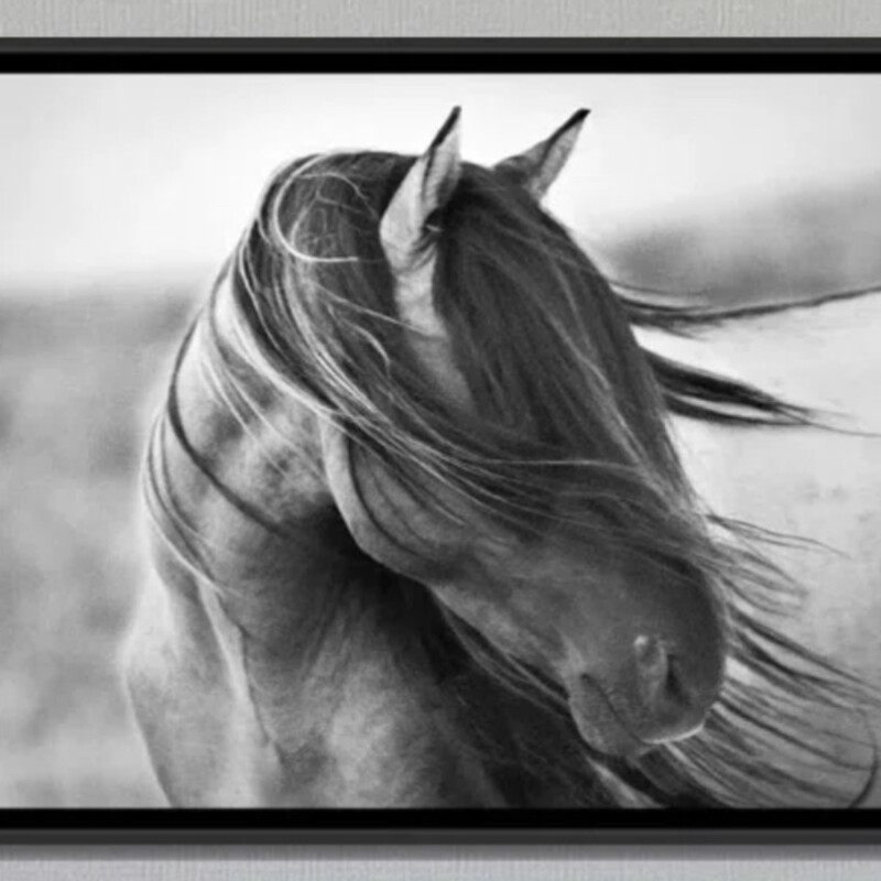 Fierce Grace Horse Canvas