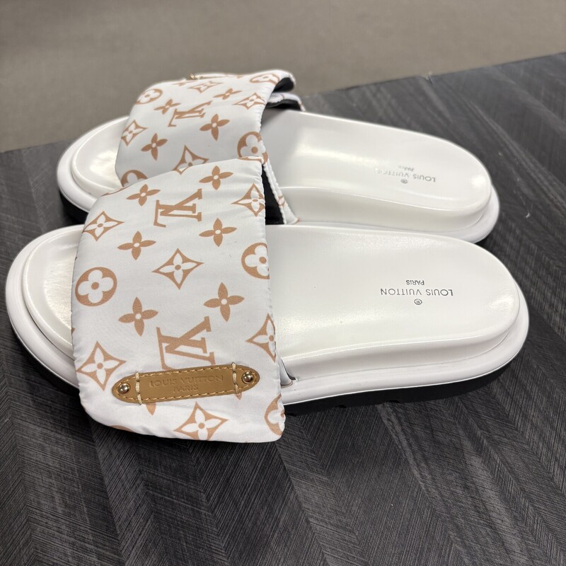 Designer Slide, Size: 8