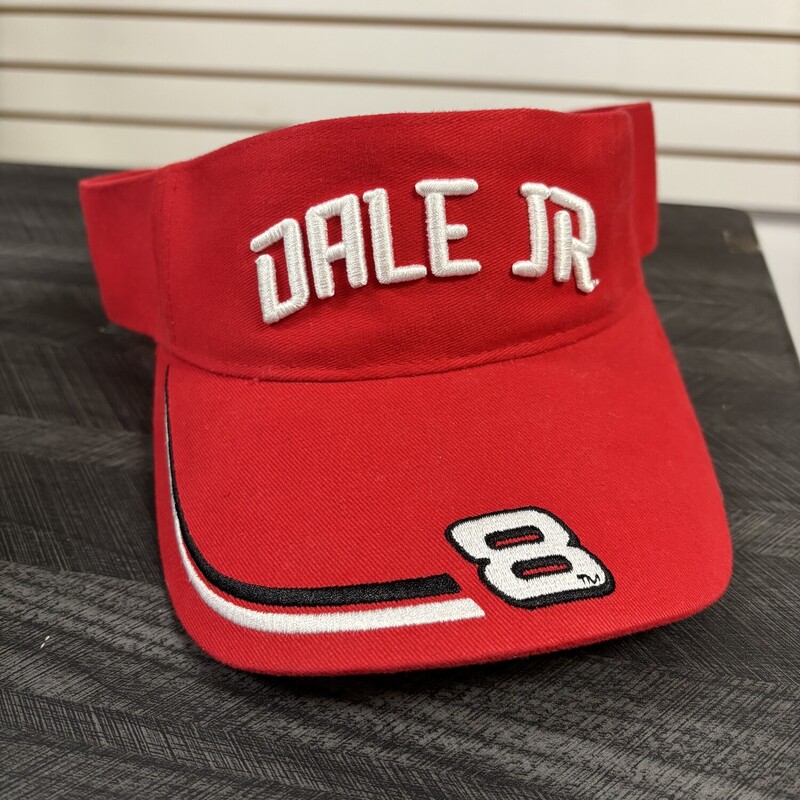 Dale Jr Visor