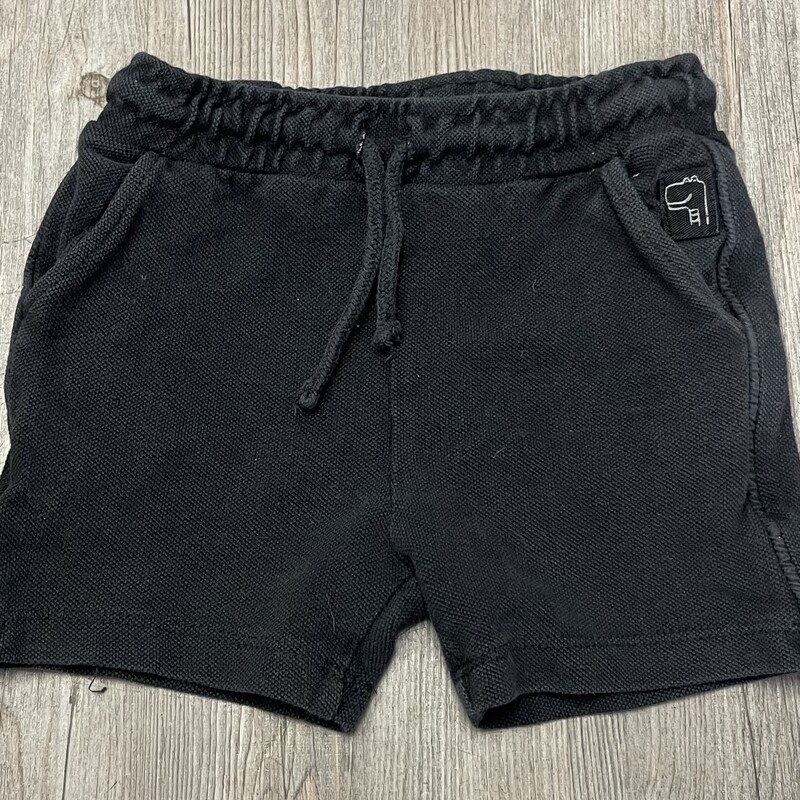 Zara Shorts
