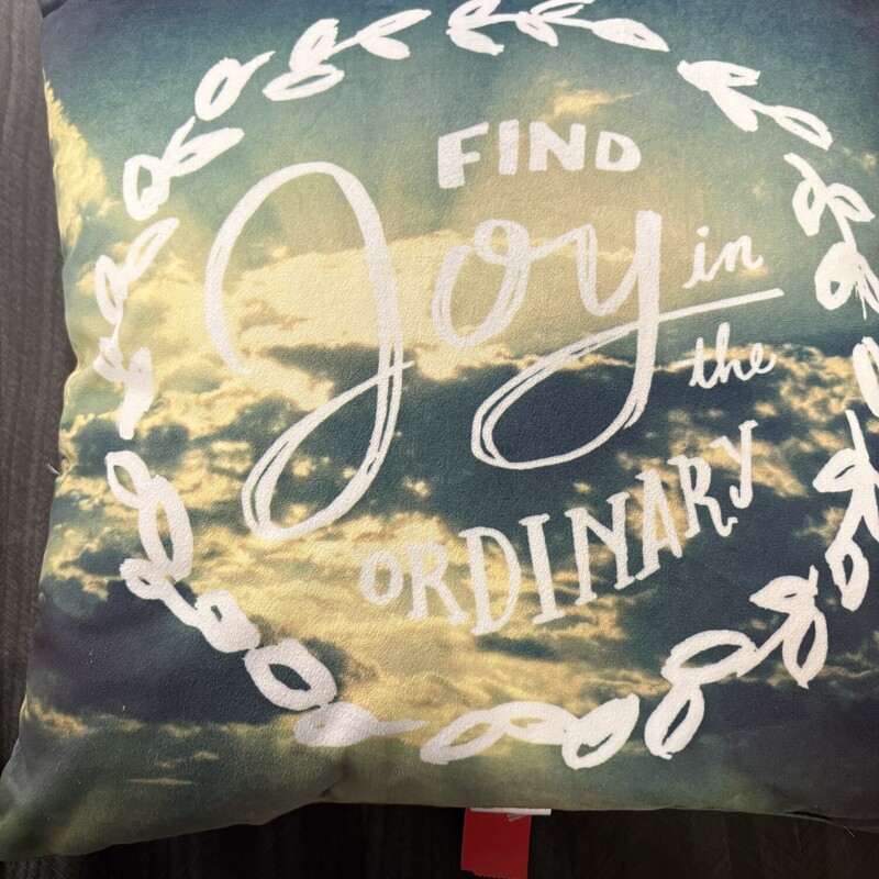 Find Joy Throw Pillow, Size: 15x15