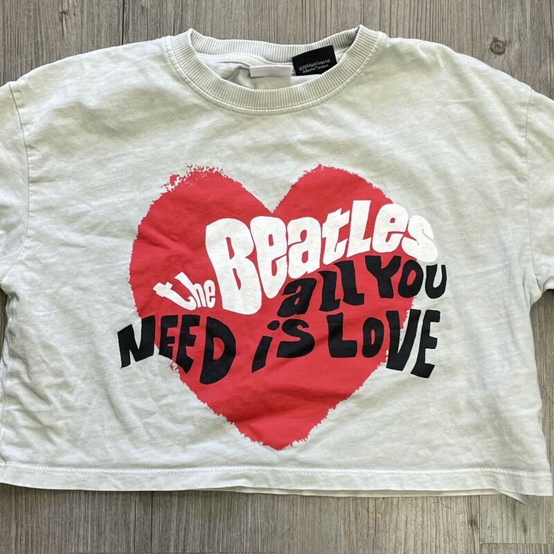 Zara The Beatles Cropped