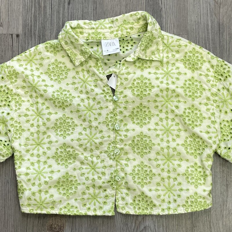 Zara Eyelet Cropped Shirt