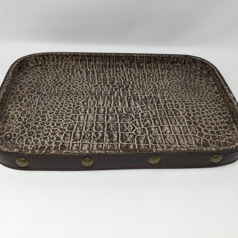 Faux Reptile Skin Tray, Brown/Brass, Size: 10X14