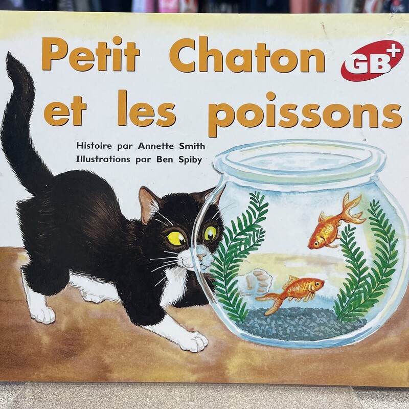 Petit Chaton Et Les Poiss