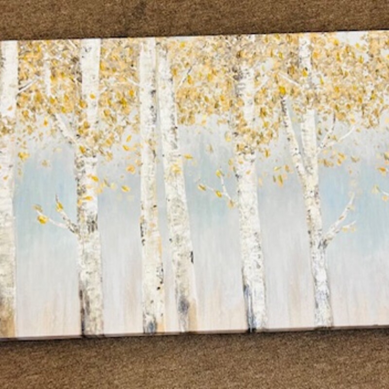 Birch Trees Canvas