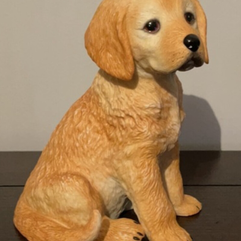 Lenox Golden Retrieve Pup