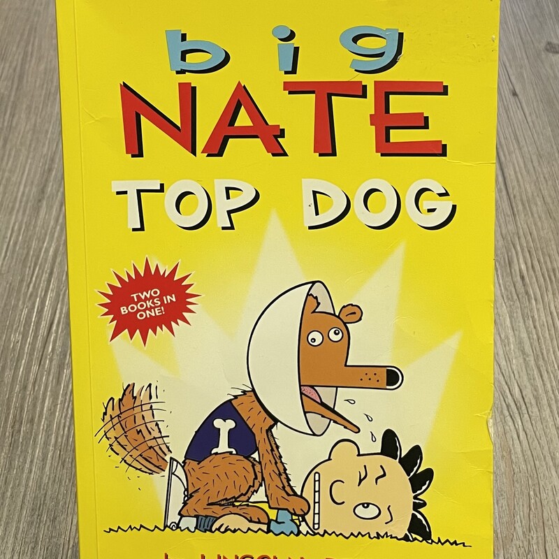 Big Nate Top Dog