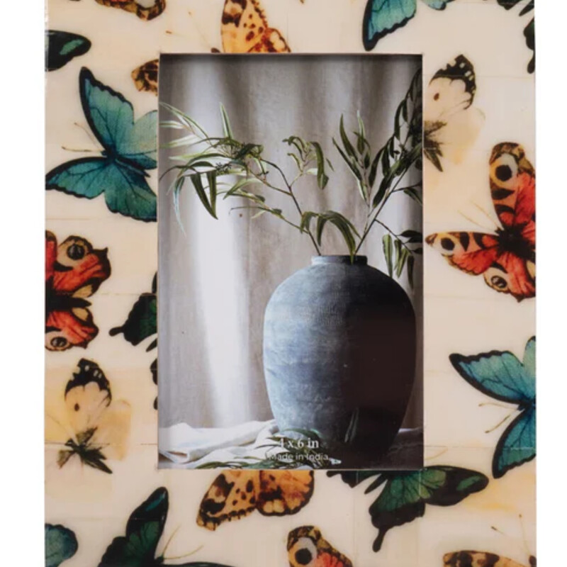 Lacquer Butterfly Frame
