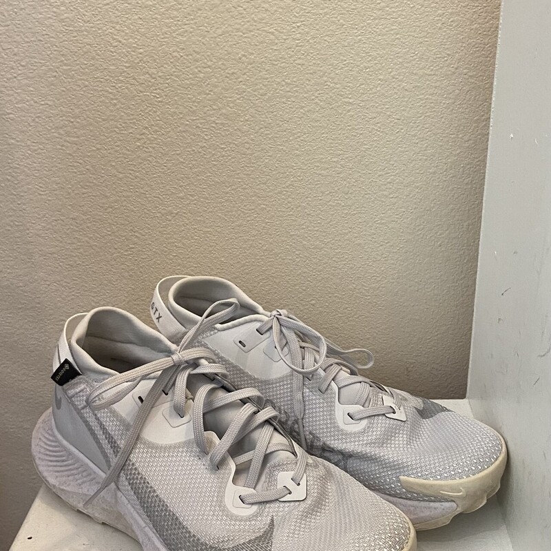 Gry/Wt Goretex Run Shoe