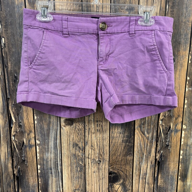 AE Purple Shorts, Size: 2