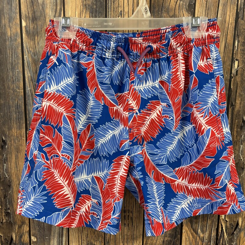 Patriotic Swim Trunks