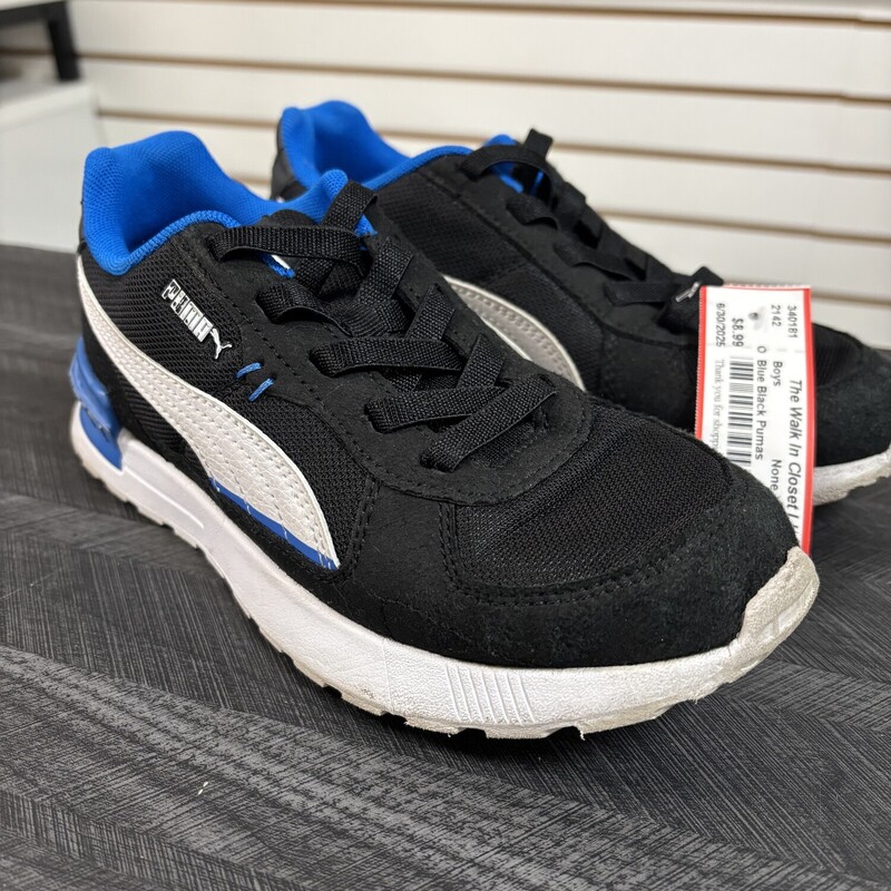 Blue Black Pumas, Size: 2