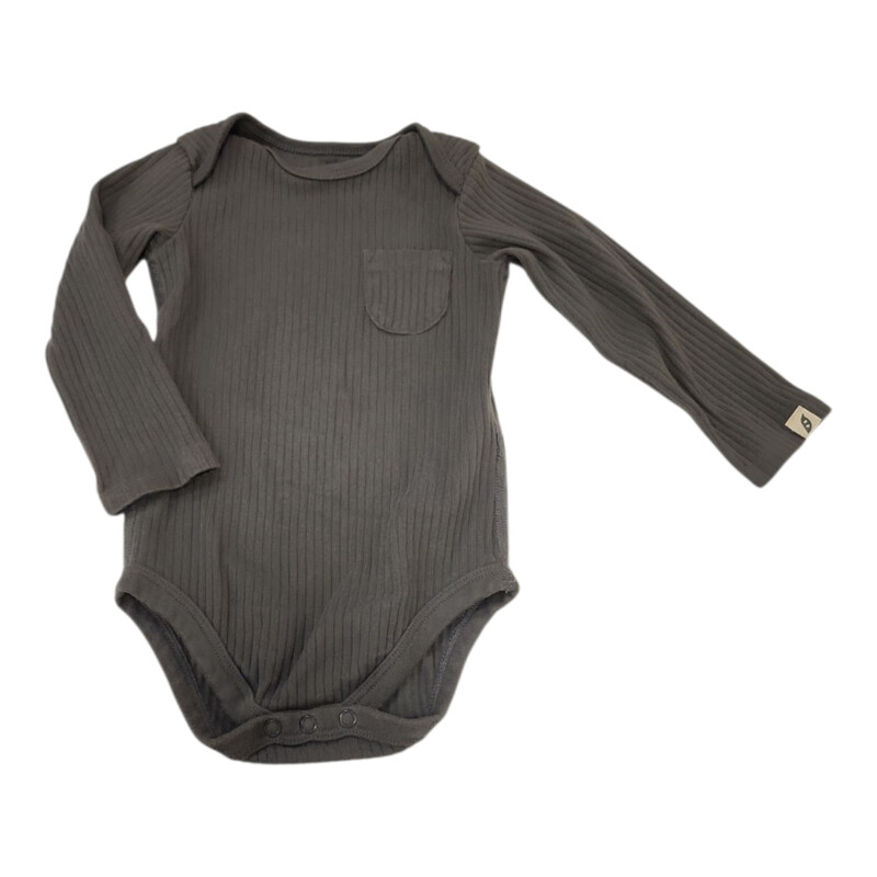 Long Sleeve Onesie: Gray