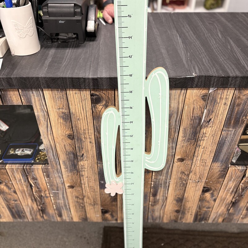 Cactus Measuring Stick