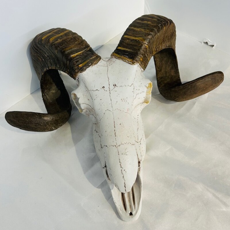 Resin Rams Skull Wall Decor
White Brown Size: 14 x 11H