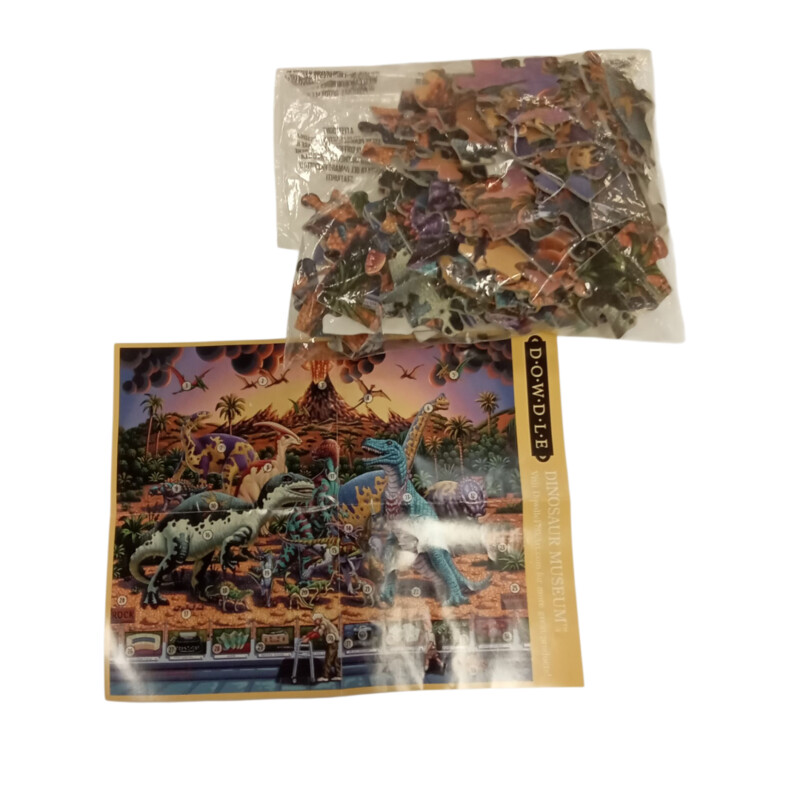 Dinosaur Museum Puzzle