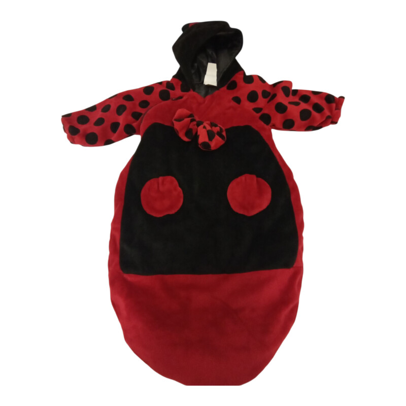 Lady Bug Costume