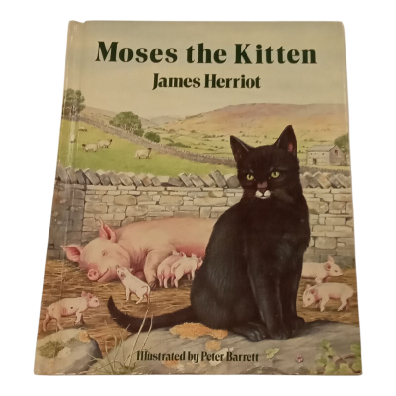 Moses The Kitten
