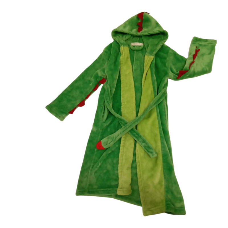 Dragon Robe