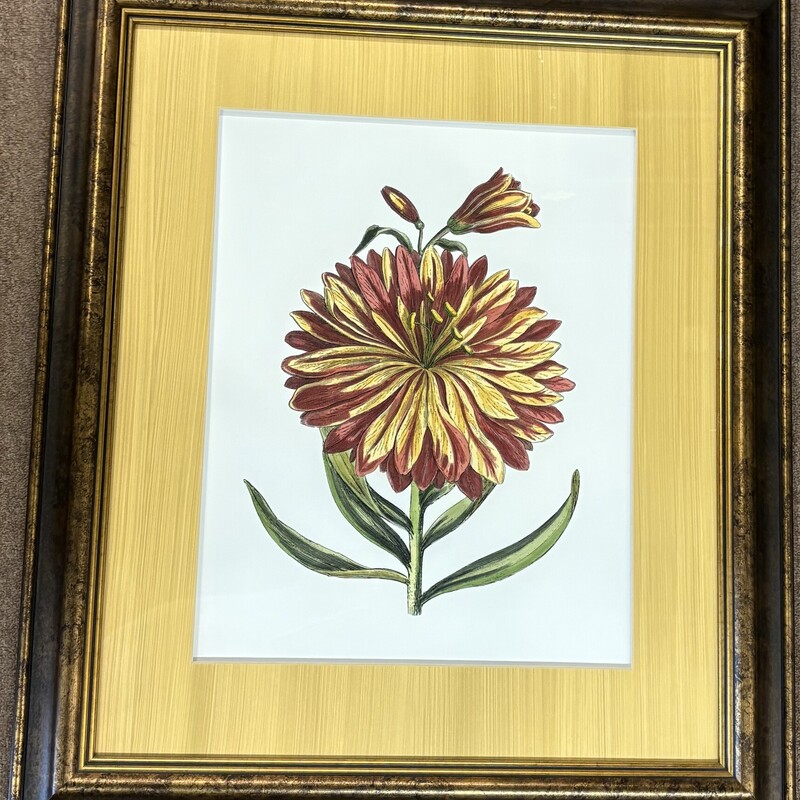 Matted Dahlia Artwork