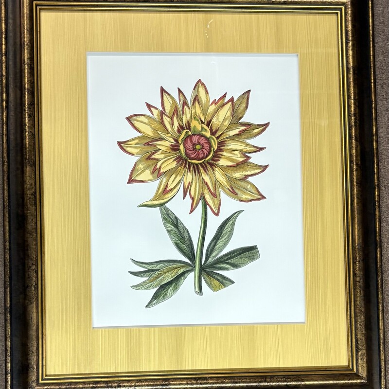 Matted Dahlia Artwork