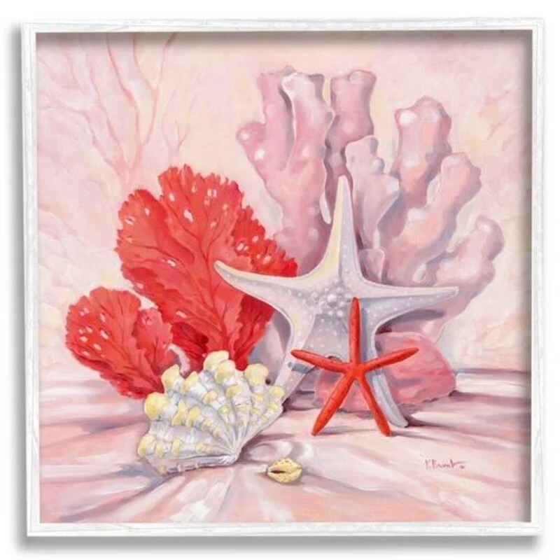 Shells & Coral Still Life