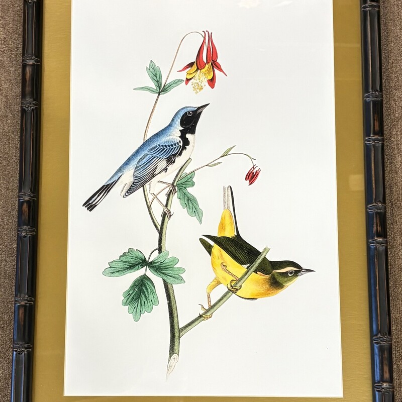 Ballard Designs Warbler